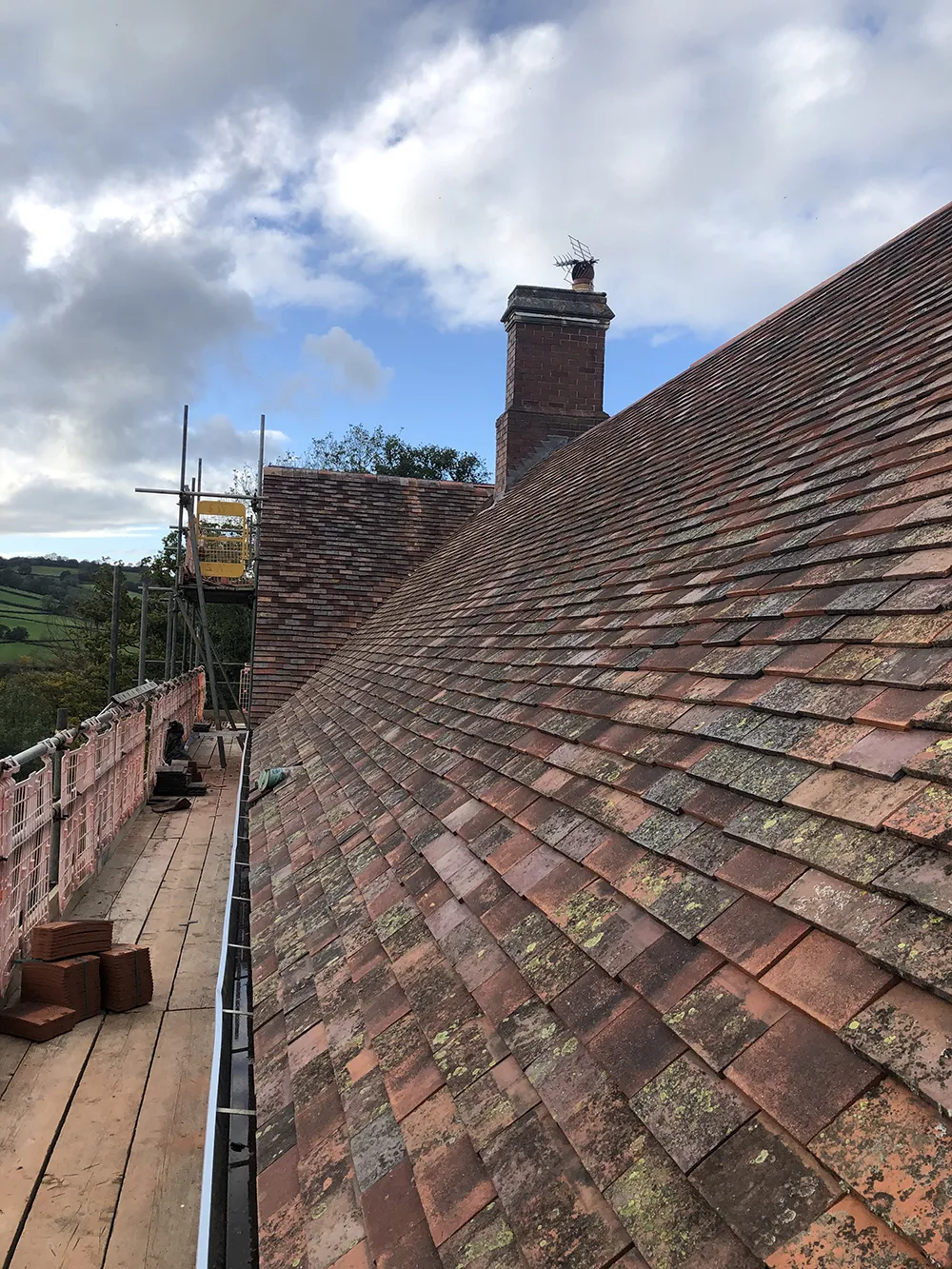 Axminster, private client-8 Axminster, private client-8