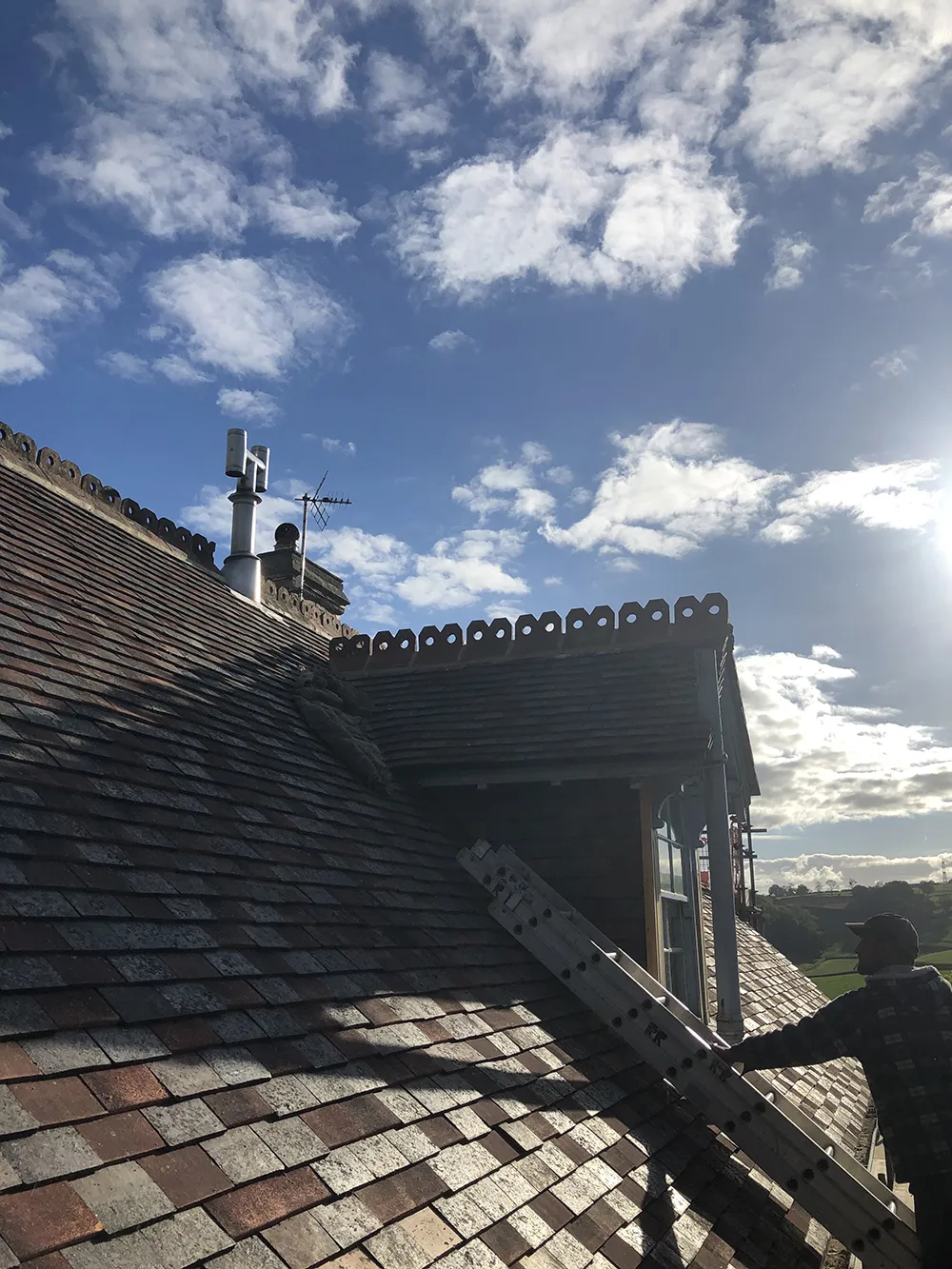 Axminster, private client-9 Axminster, private client-9