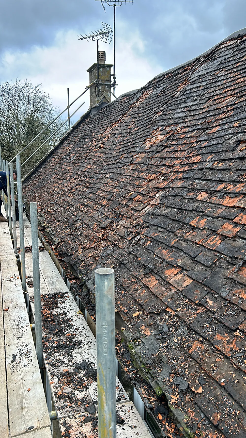 South petherton, private client-1 South petherton, private client-1