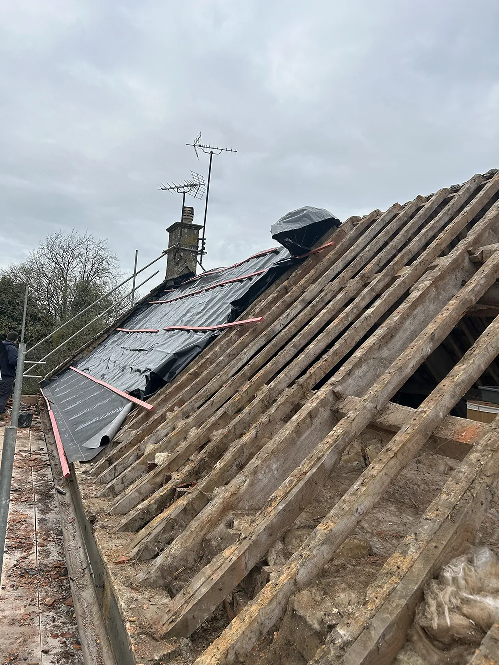 South petherton, private client-2 South petherton, private client-2
